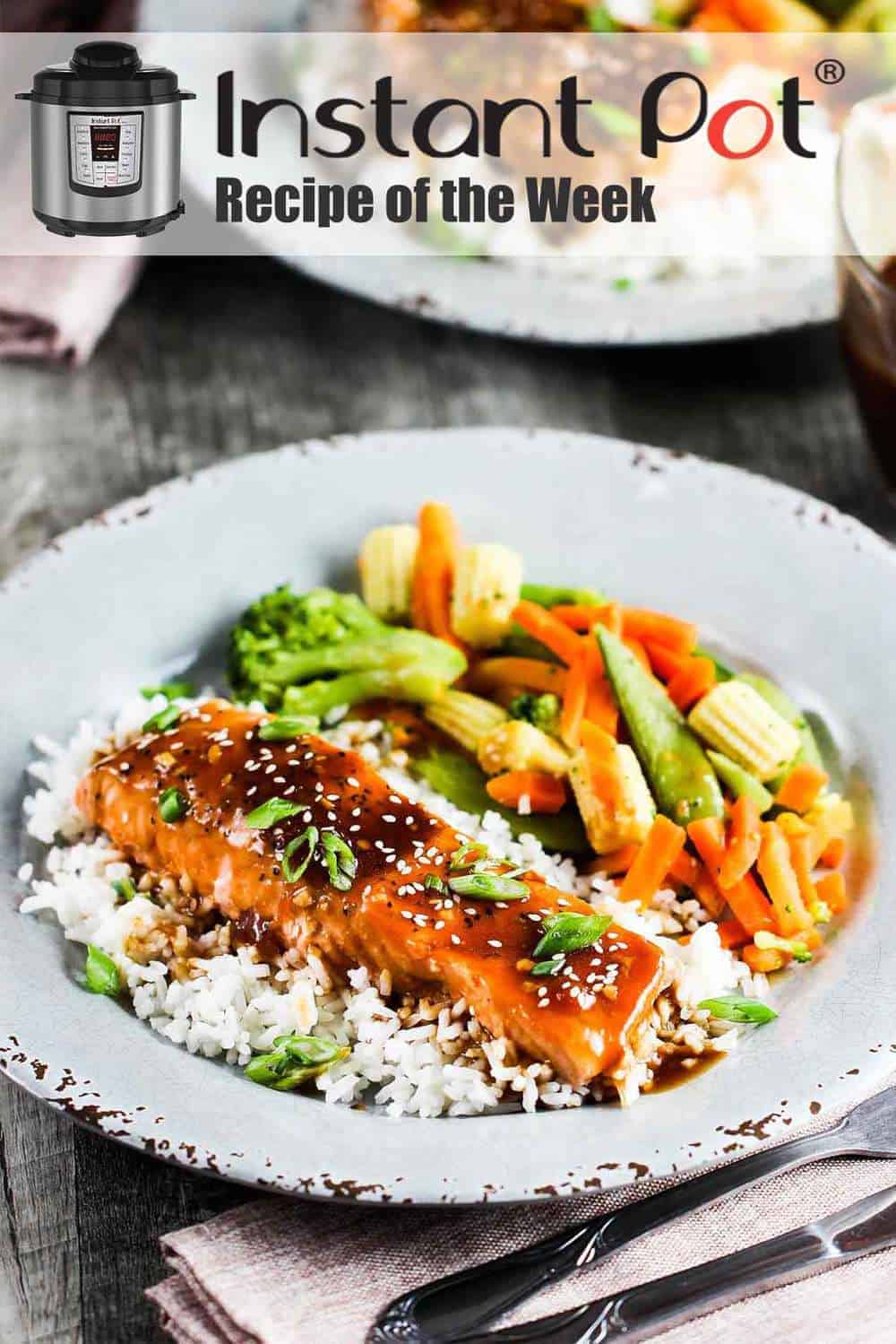 Instant Pot Teriyaki Salmon How To Feed A Loon