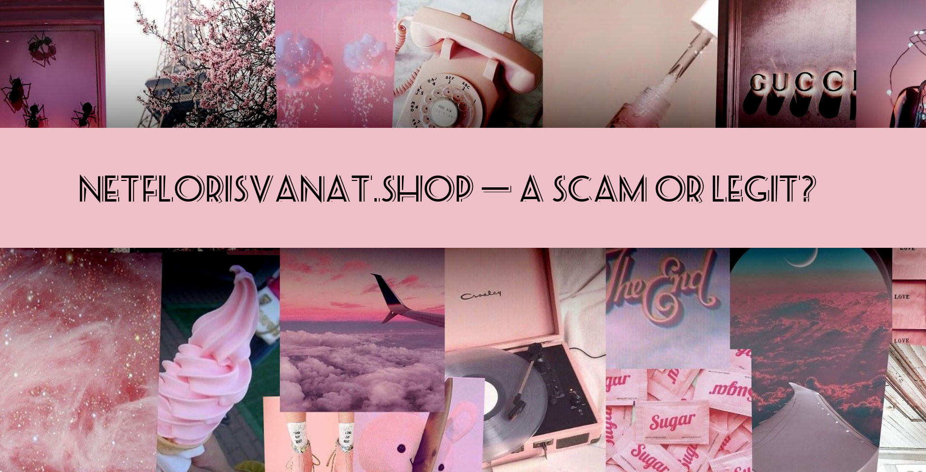 We Dug Into Legit Store or A Scam?