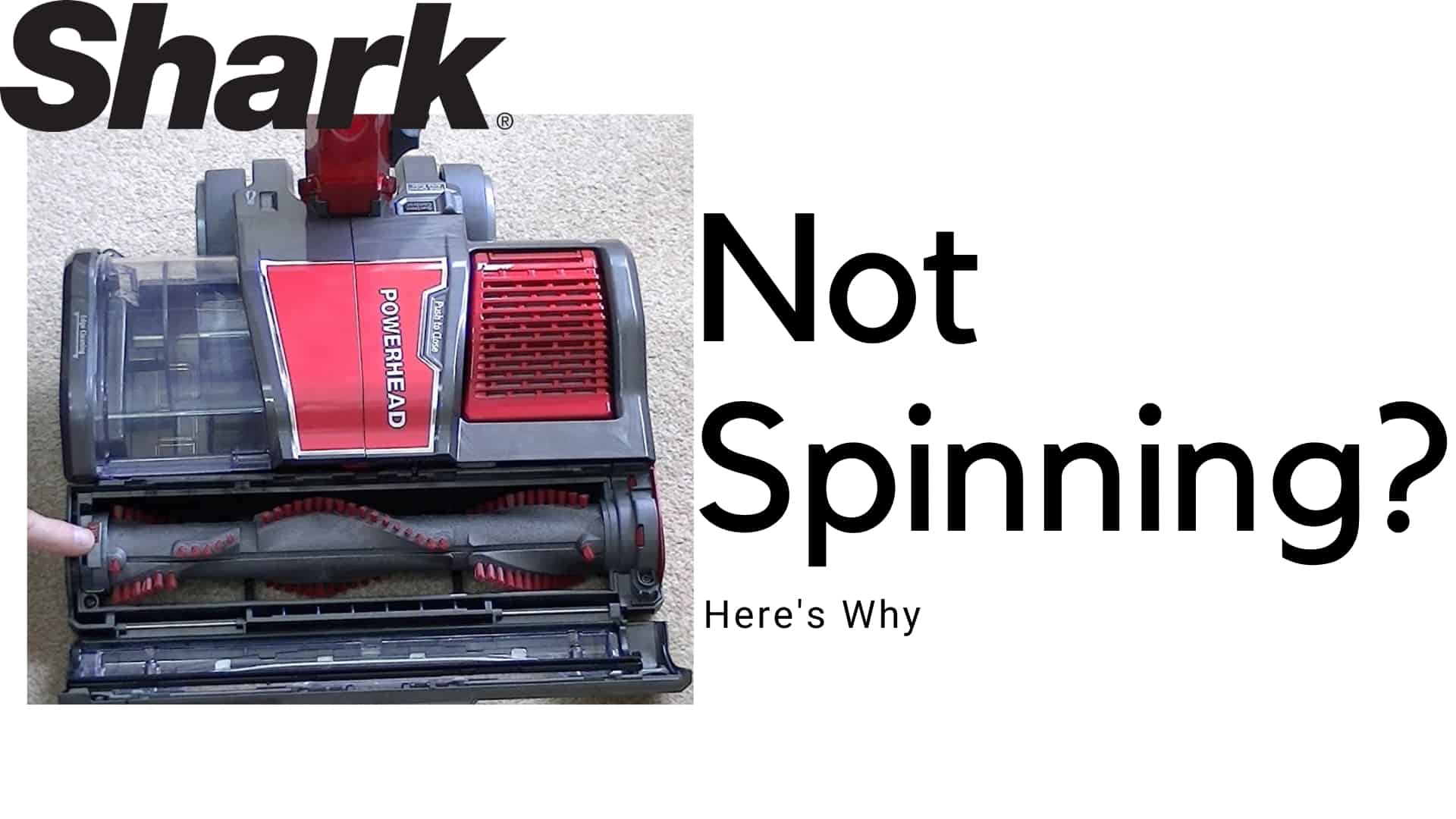 Shark Vacuum Brush Not Spinning How To Fix It