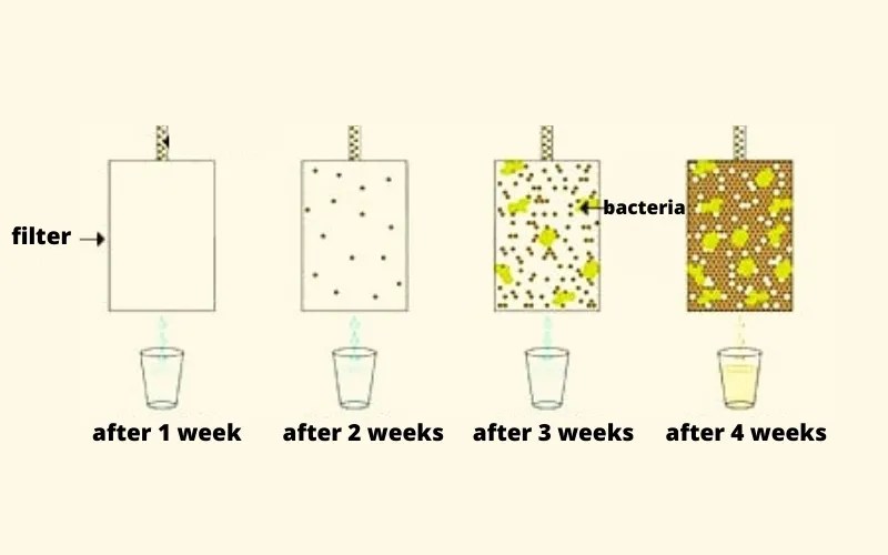 Bosch Refrigerator Not Dispensing Water How To Fix It