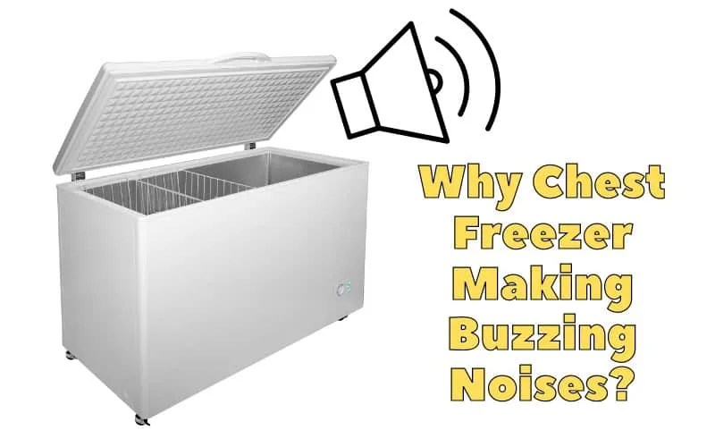Why Chest Freezer Making Buzzing Noises? Troubleshooting Guide How