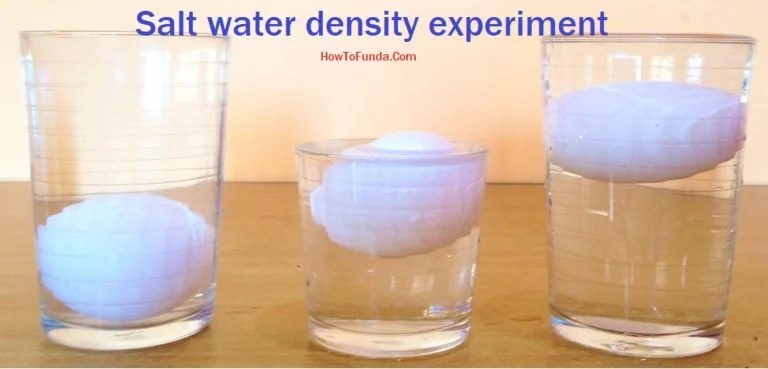 Eggs & Salt Water Water Density Science Experiment DIY DIY School