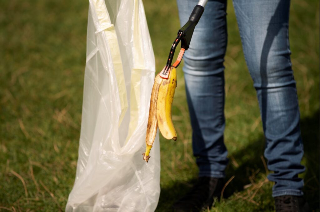 Composting Vs Recycling. Which Is Better For The Environment?