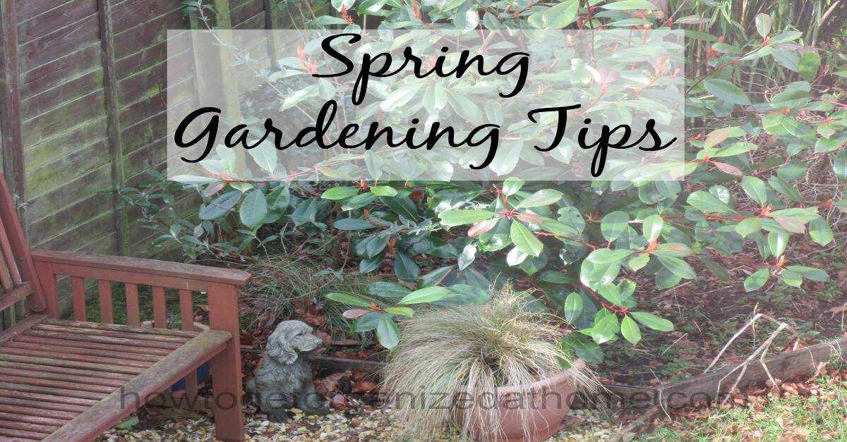 Spring Gardening Tips How To Get Organized At Home