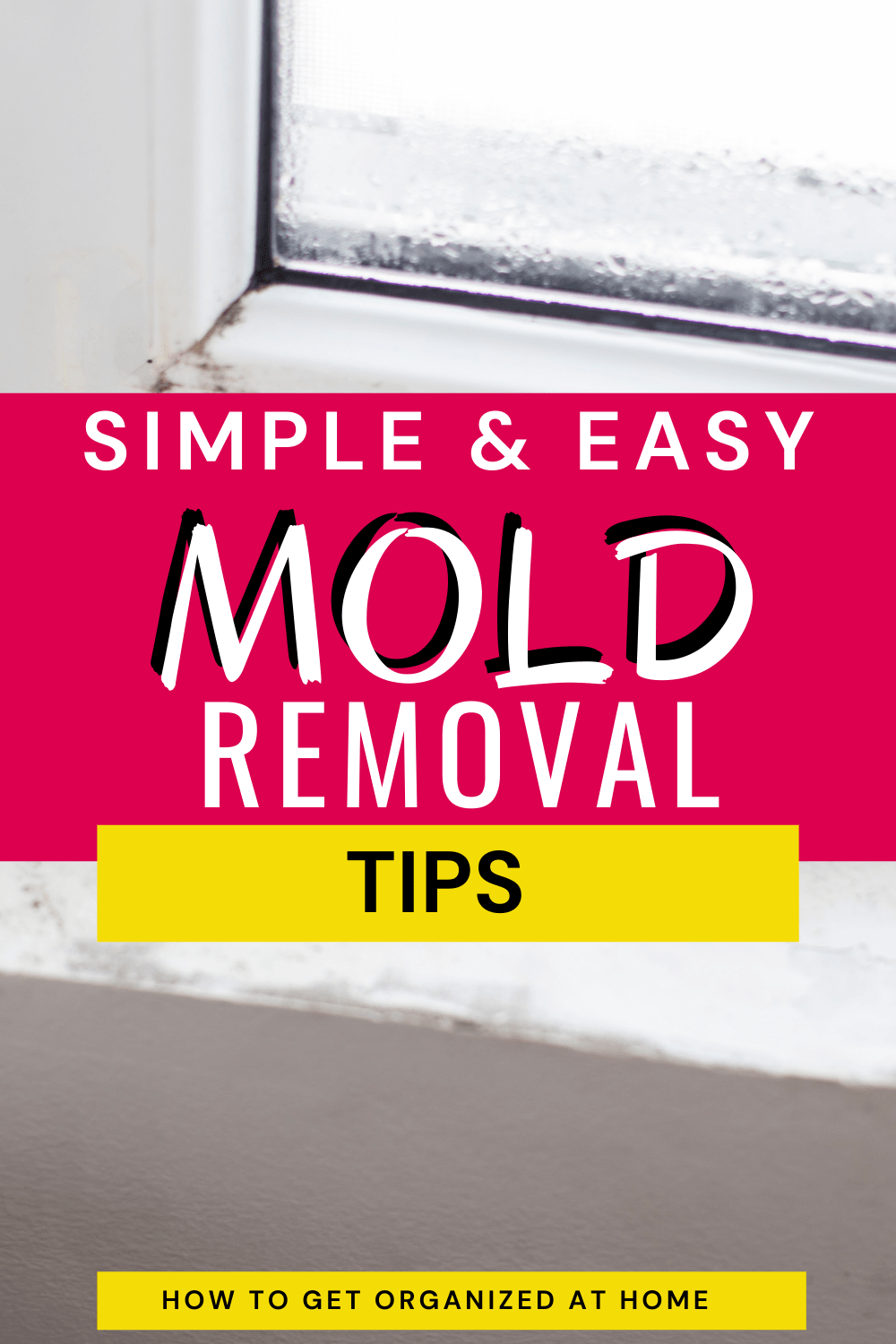 The Best Way For Tackling Mold On Window Sills