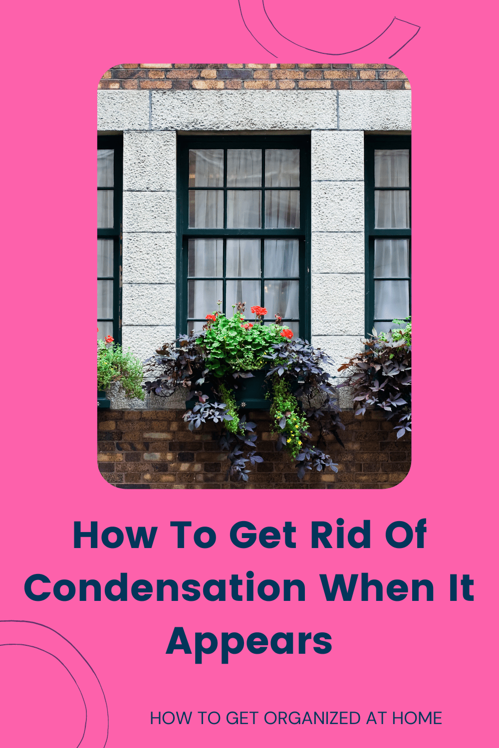 Can You Get Mold From Condensation On Windows?