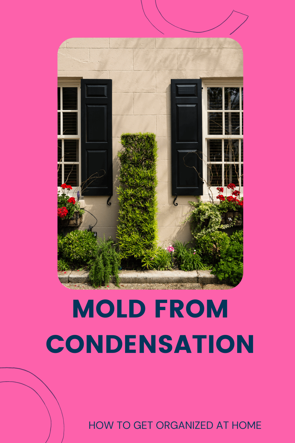 Can You Get Mold From Condensation On Windows?