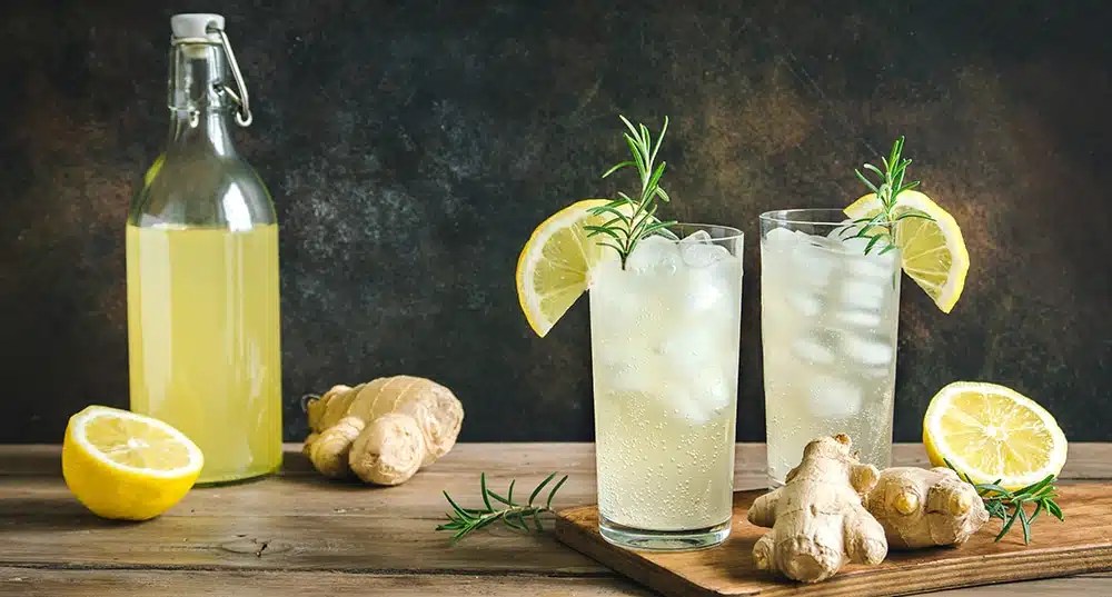 Ginger Bug A Guide to Homemade Fermented Soda Recipes How To Grow