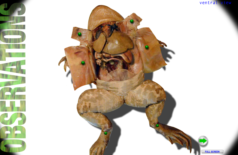 Dissect A Virtual Frog For FREE!