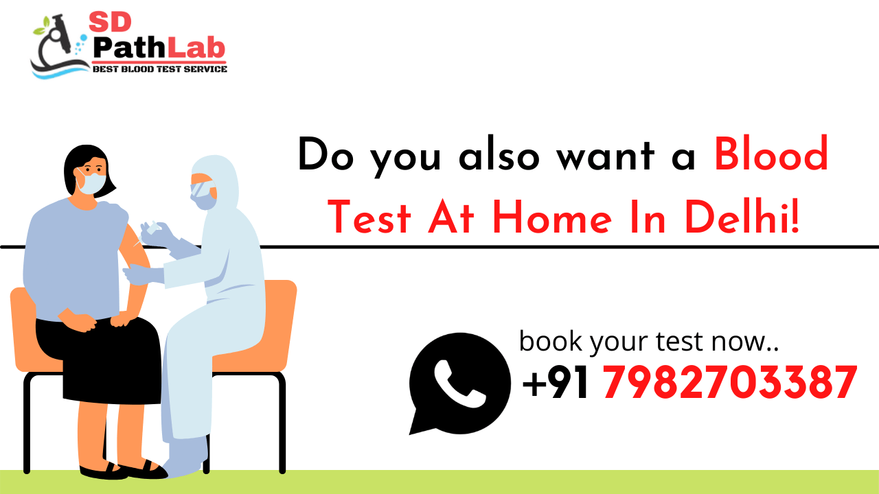 Blood Test Service In Delhi How to Know 