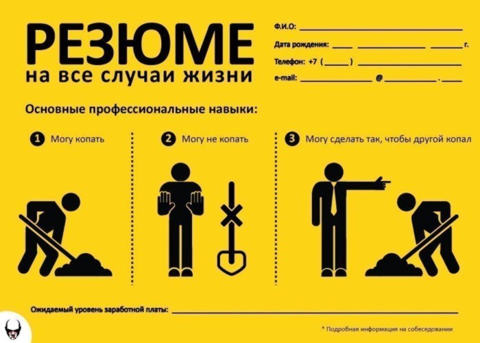 Napisat rezyume obrazec studentu kak sostavit rezyume b — иллюстрация 3