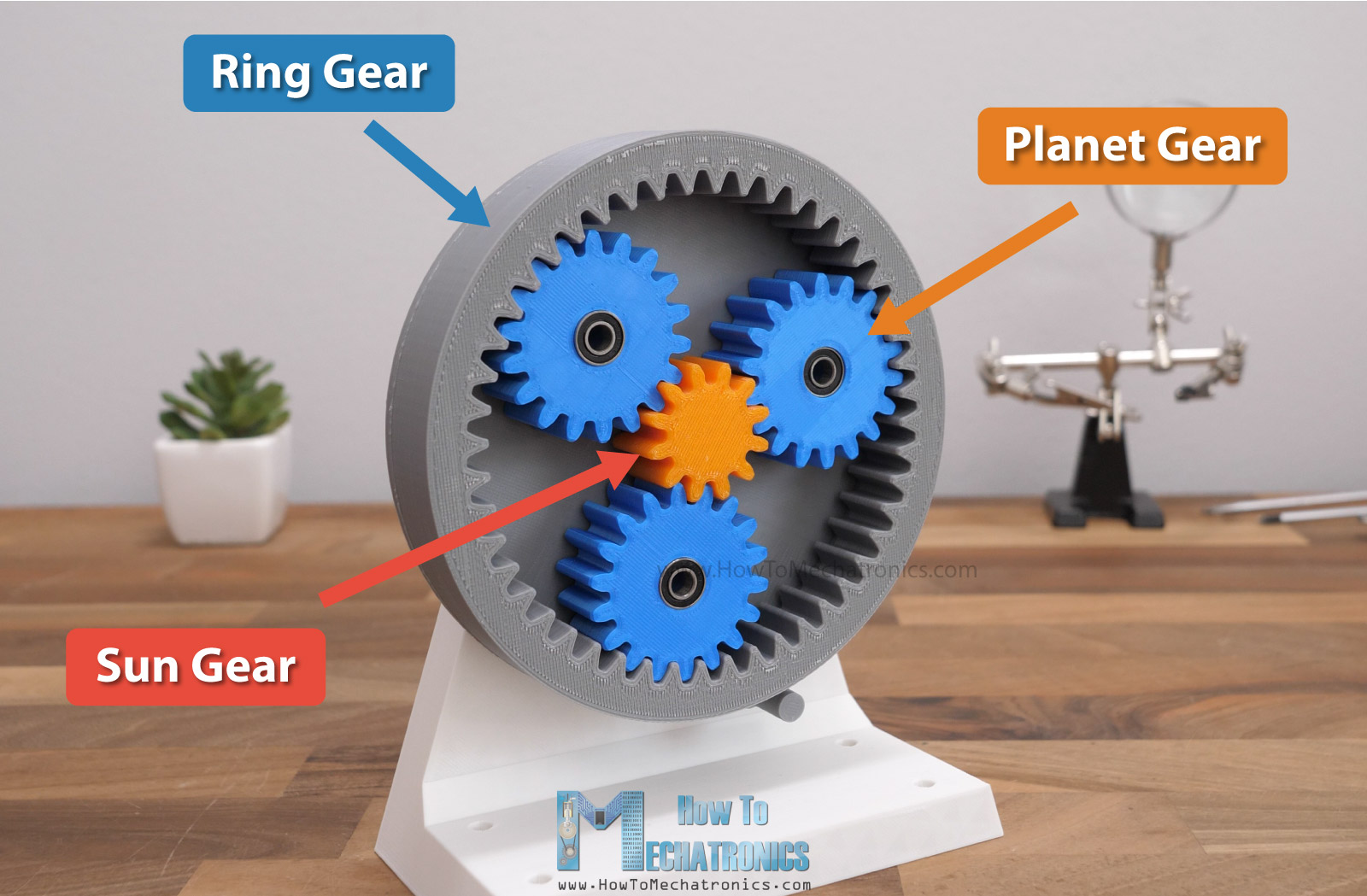 Gear Train