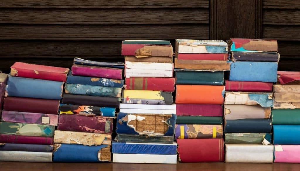 How To Get Rid Of Termites In Books 5 Easy Steps