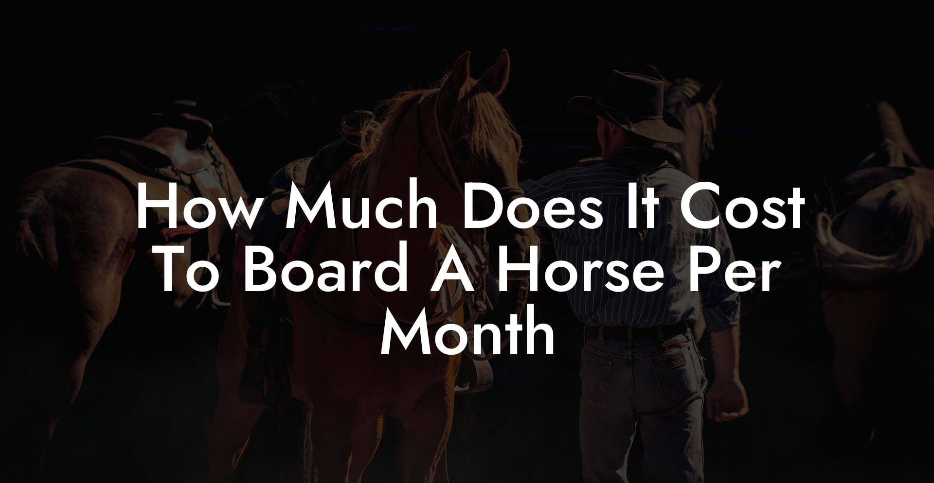 How Much Does It Cost To Board A Horse Per Month How To Own a Horse