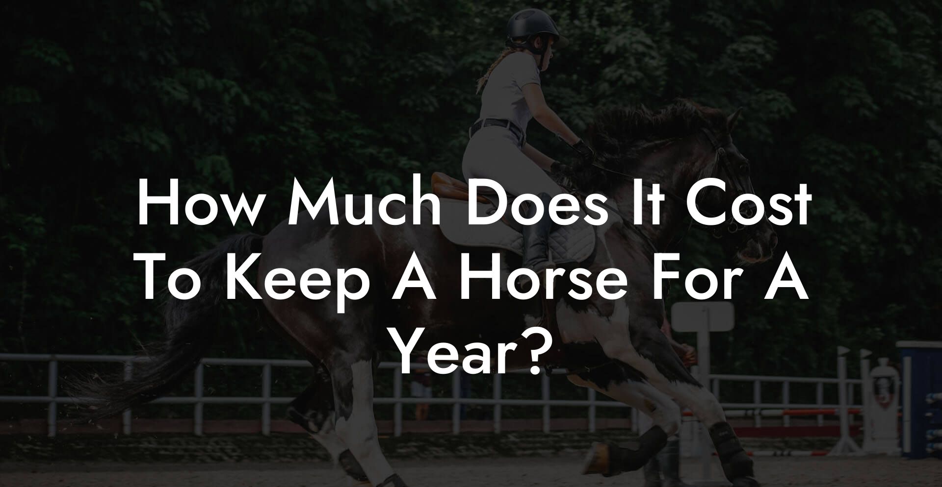 How Much Does It Cost To Keep A Horse For A Year? How To Own a Horse