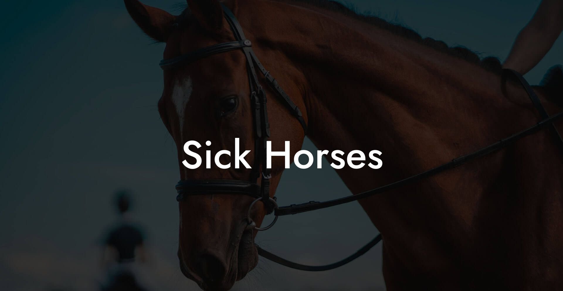 Sick Horses How To Own a Horse