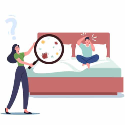 Sleep Tight? Yah Right. Bed Bugs How To Pest Blog