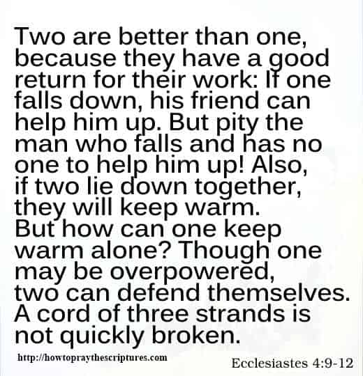 Bible Verses for the New Year