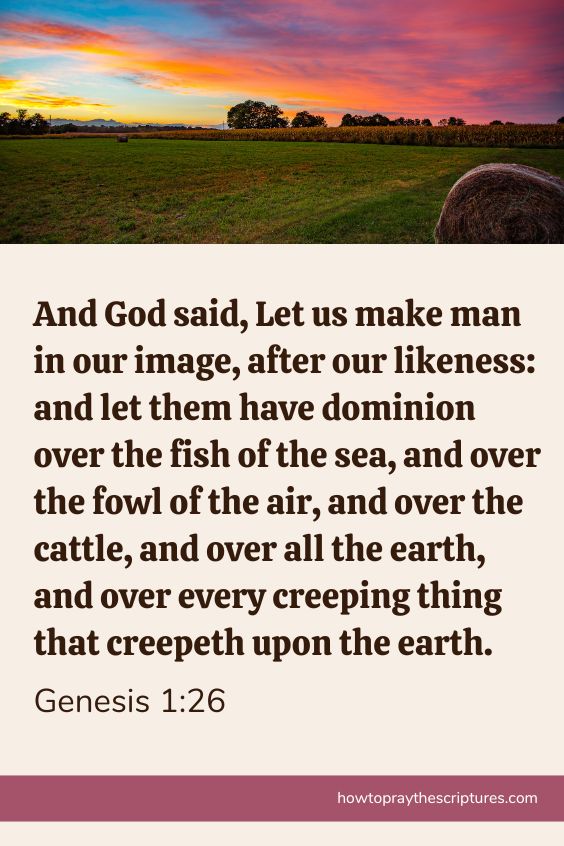 A Cattlemen's Prayer