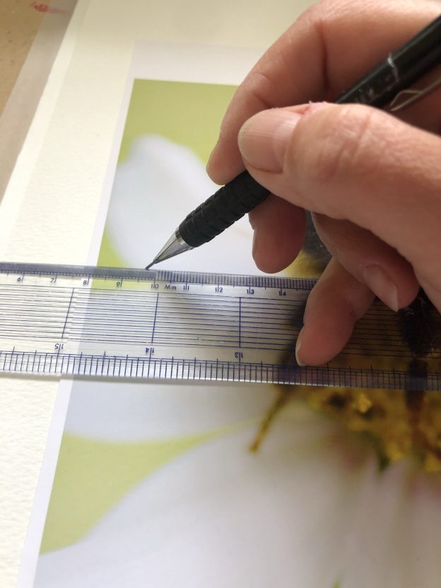 How to use a Proportional Divider in Art How to Sell Prints Online