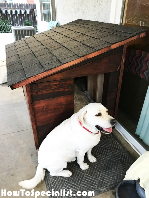 DIY Extra Large Dog House HowToSpecialist How to Build, Step by