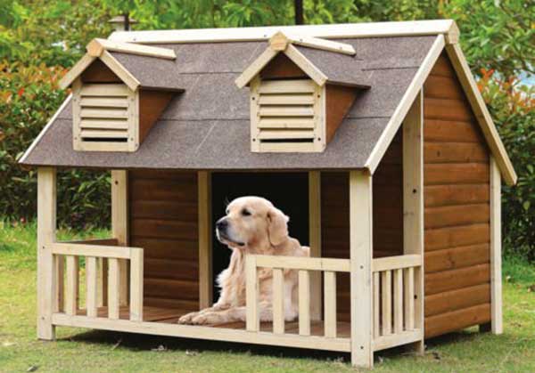 A Guide To Finding The Best Dog Houses For Large Dogs