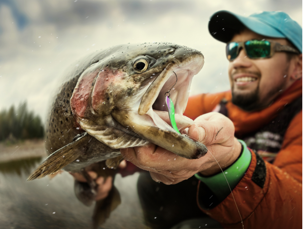 How to Trout Fish — The Basics for Beginners