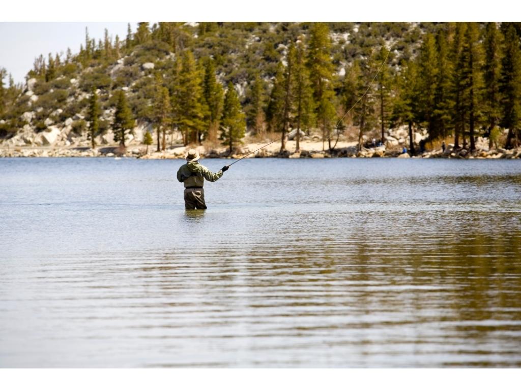 License for Fishing in Nevada 2024