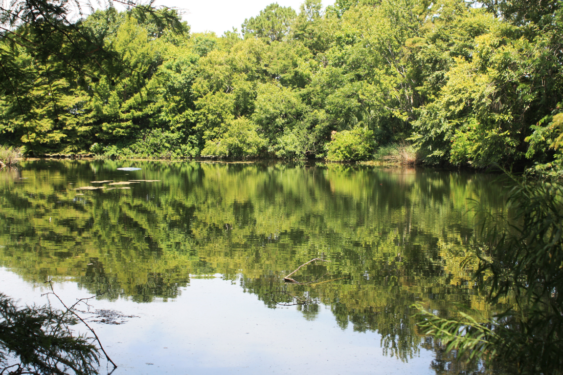 Fishing License in CT 2024