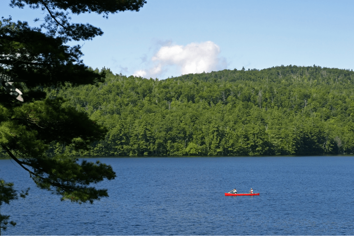 Fishing License in New Hampshire 2024