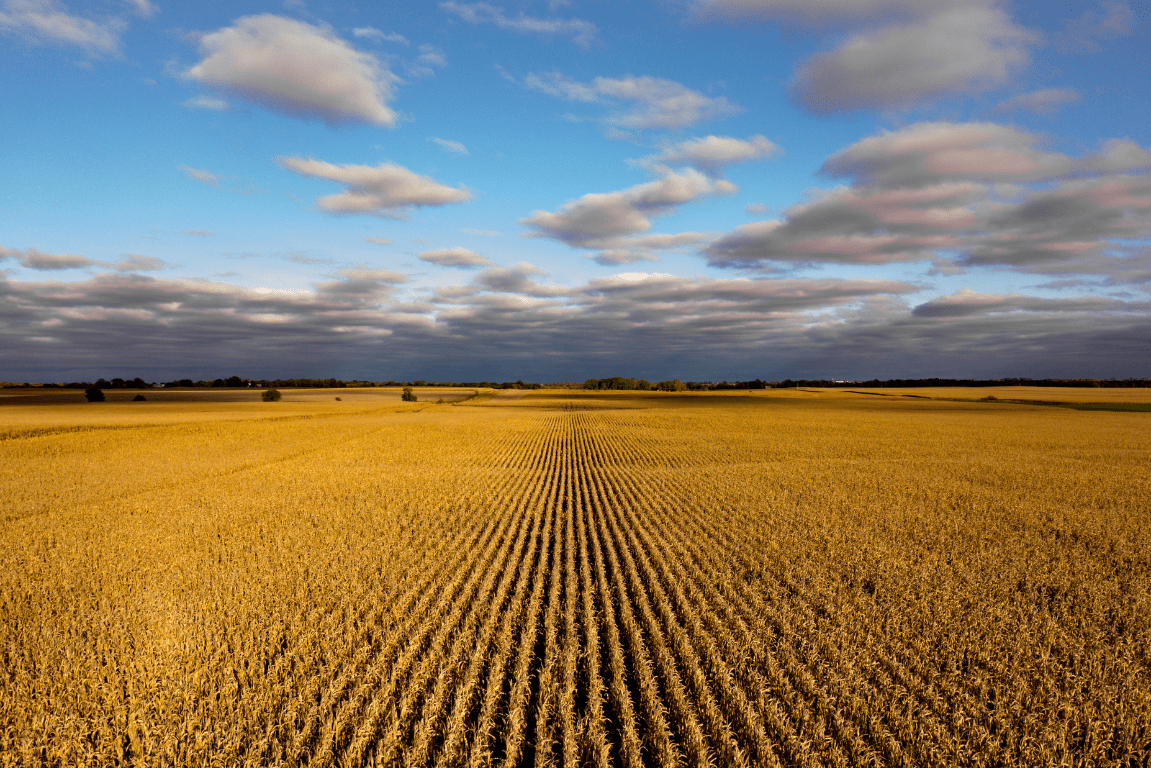 Nebraska Fishing License 2024