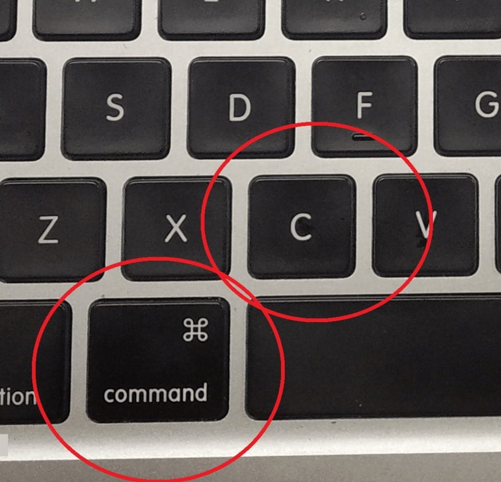 How To Copy And Paste A Picture On A Mac HowToWiki