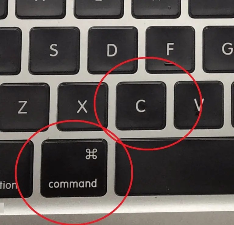 How To Copy And Paste A Picture On A Mac HowToWiki