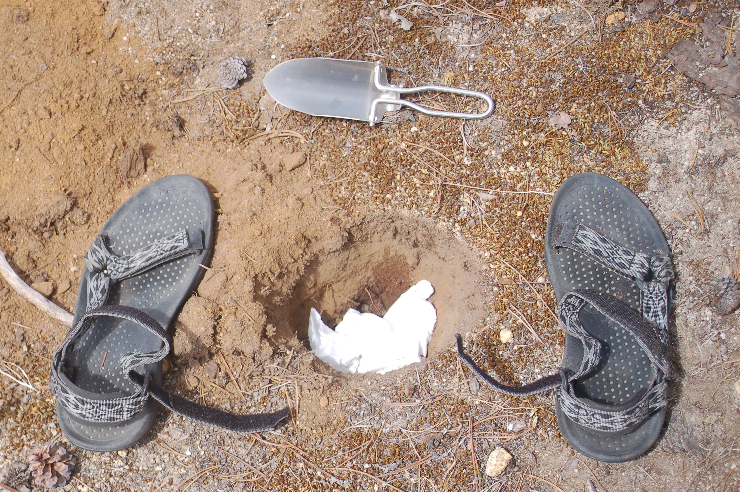 How To Poop in the Wilderness