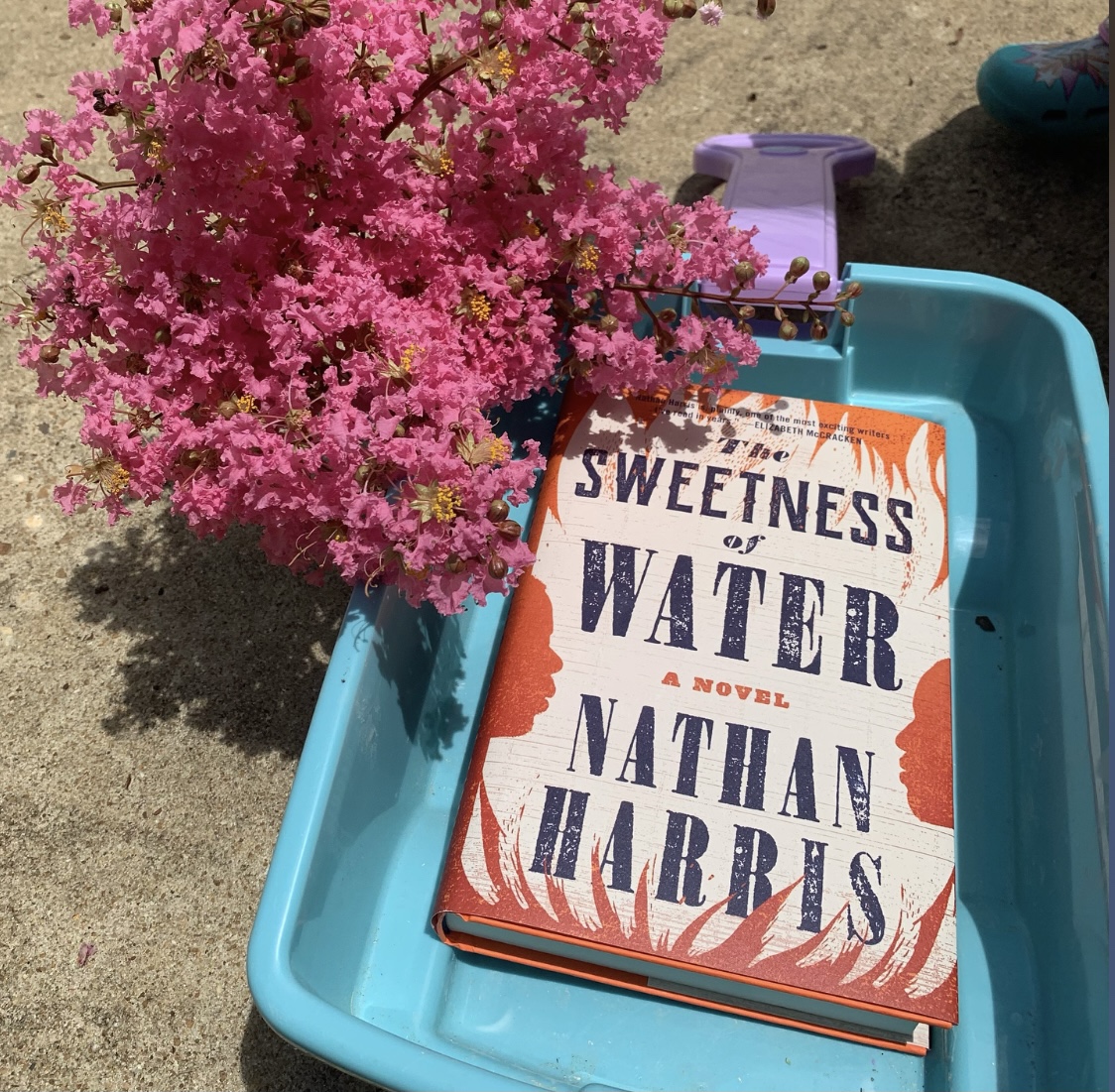 The Sweetness of Water BookReview thesweetnessofwater 