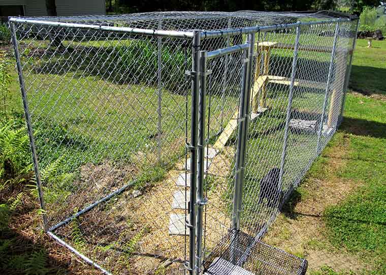 How To Make a Outdoor Catio or Cat Enclosure Howzoo