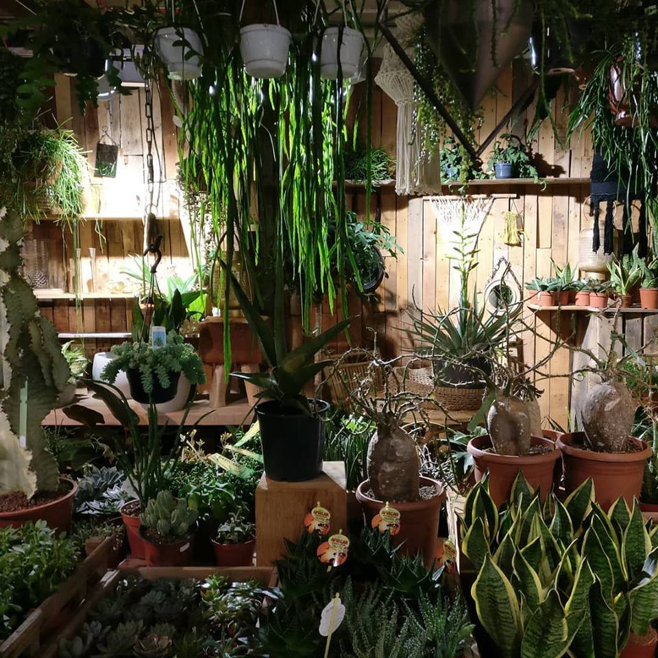 N1 Garden Centre Hoxton Radio