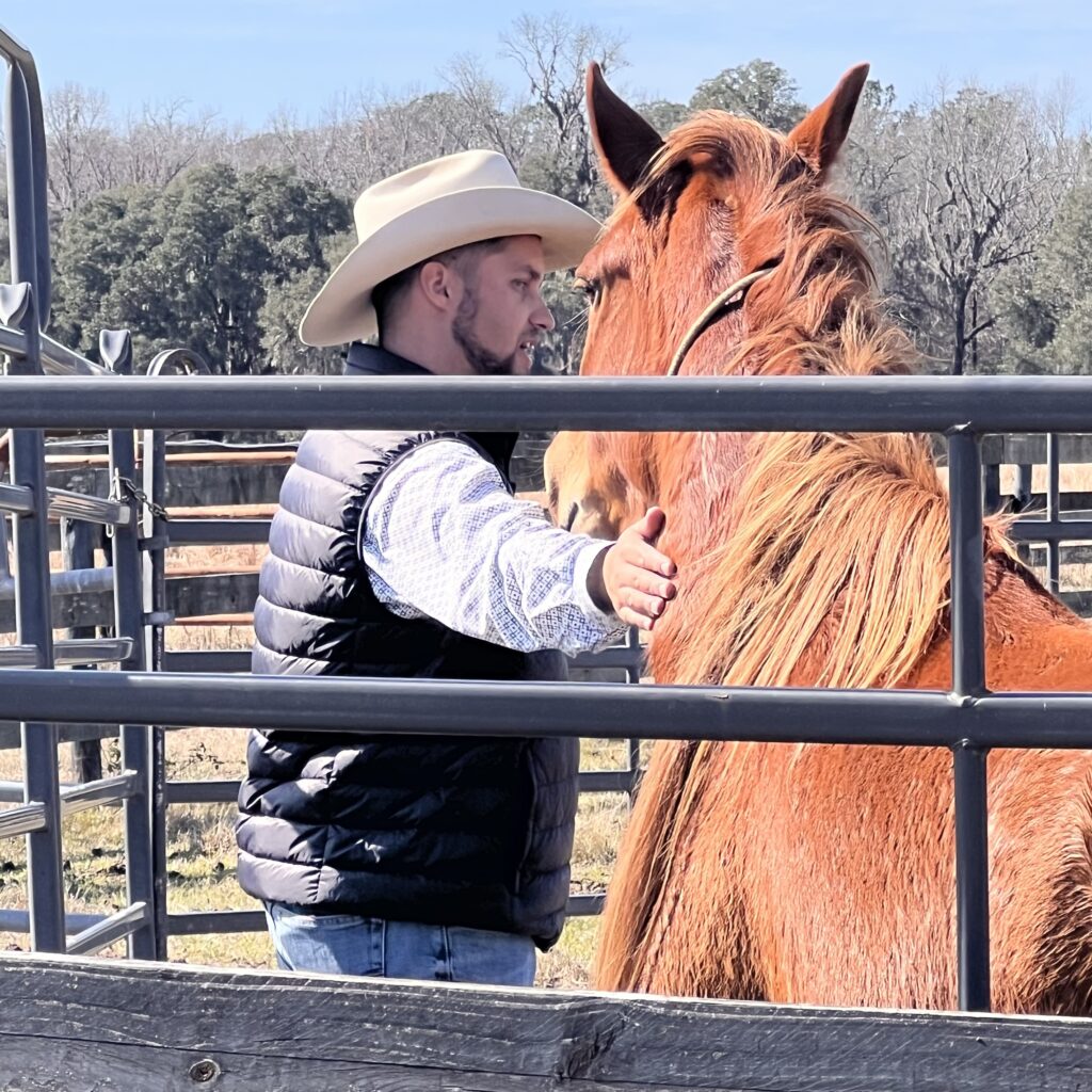 Rose Horse Protection Association of Florida