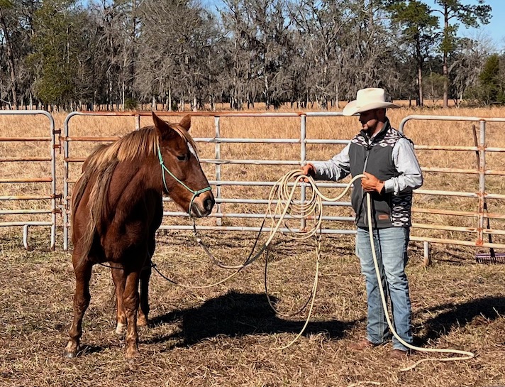 Expecting Big Things Horse Protection Association of Florida