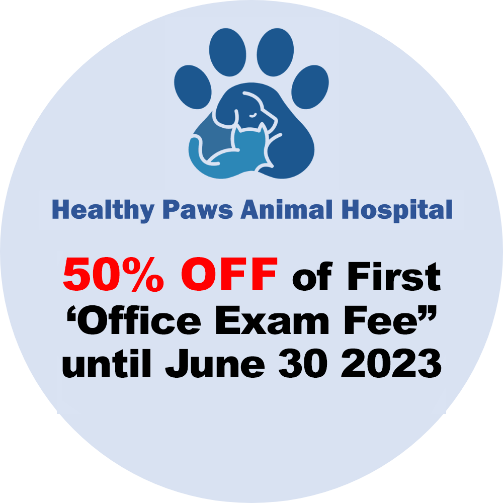 For dog owners in Glendora, CA Healthy Paws Animal Hospital