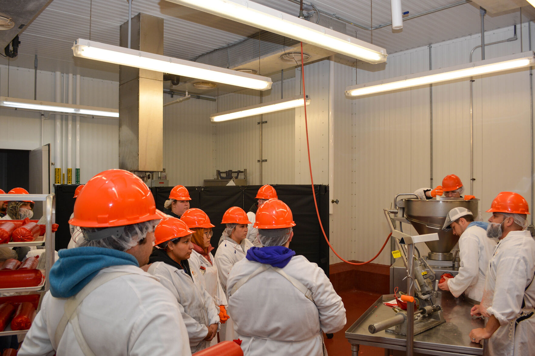 USDA makes more grants available for meat and poultry processors High