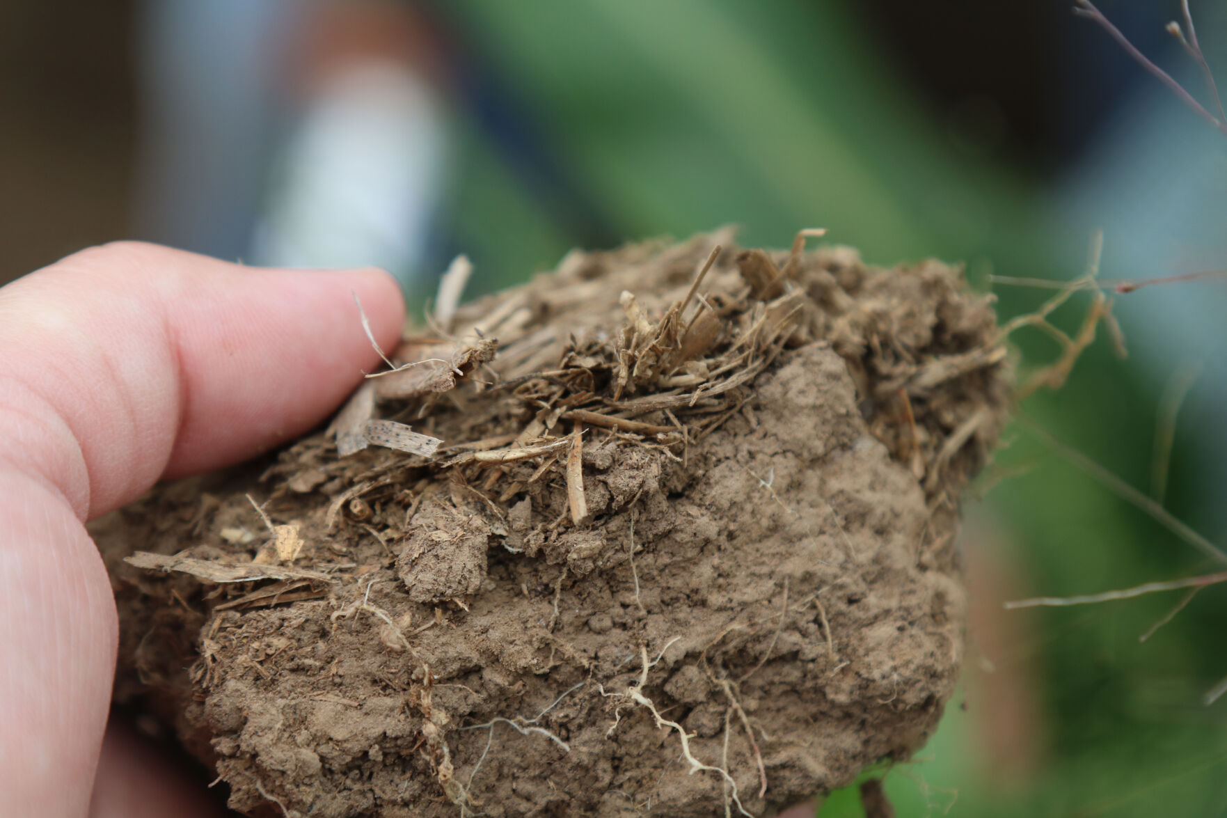 Soil Health School set in South Dakota High Plains Journal