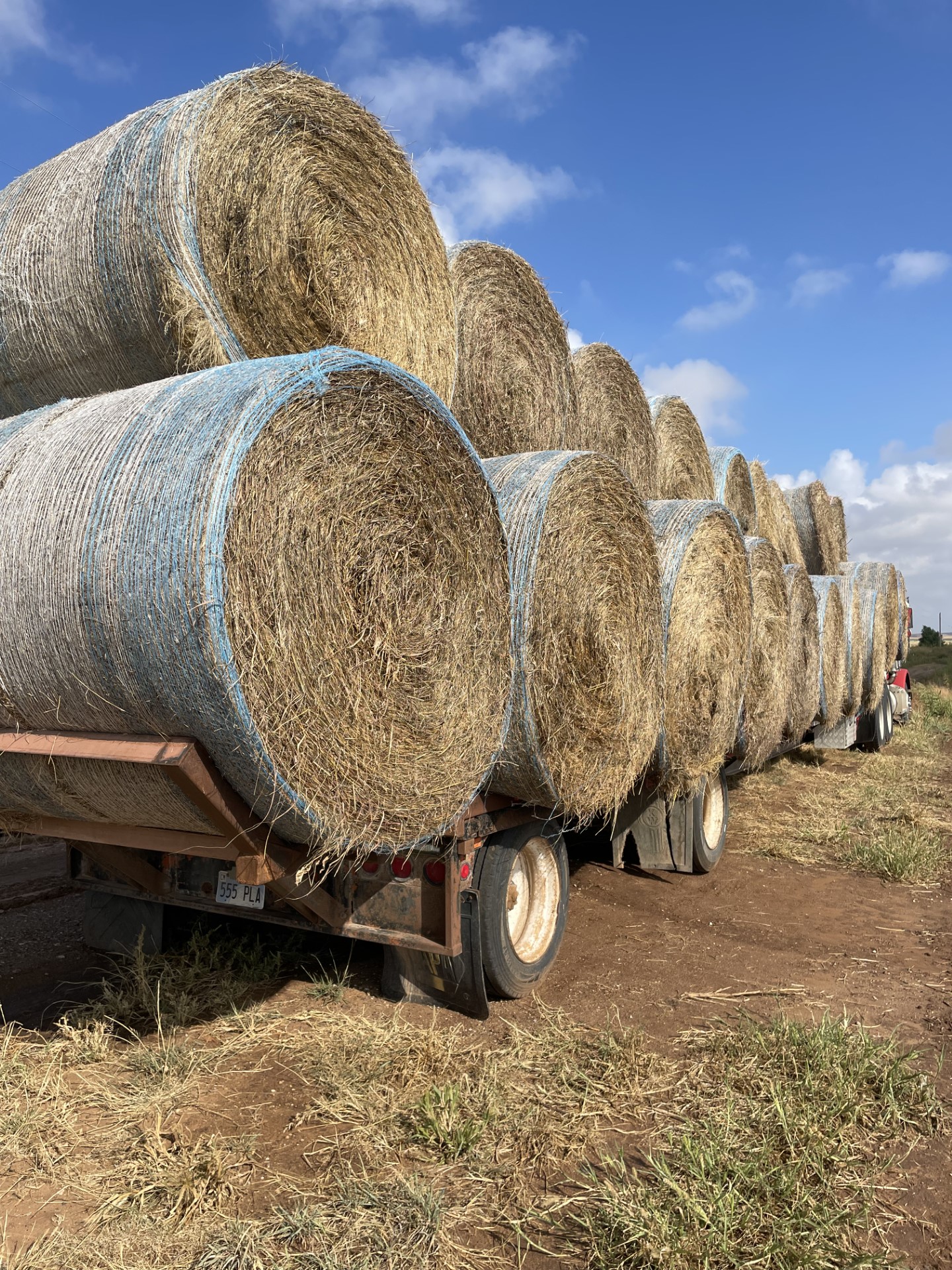 Area Hay Prices June 29, 2024 High Plains Journal