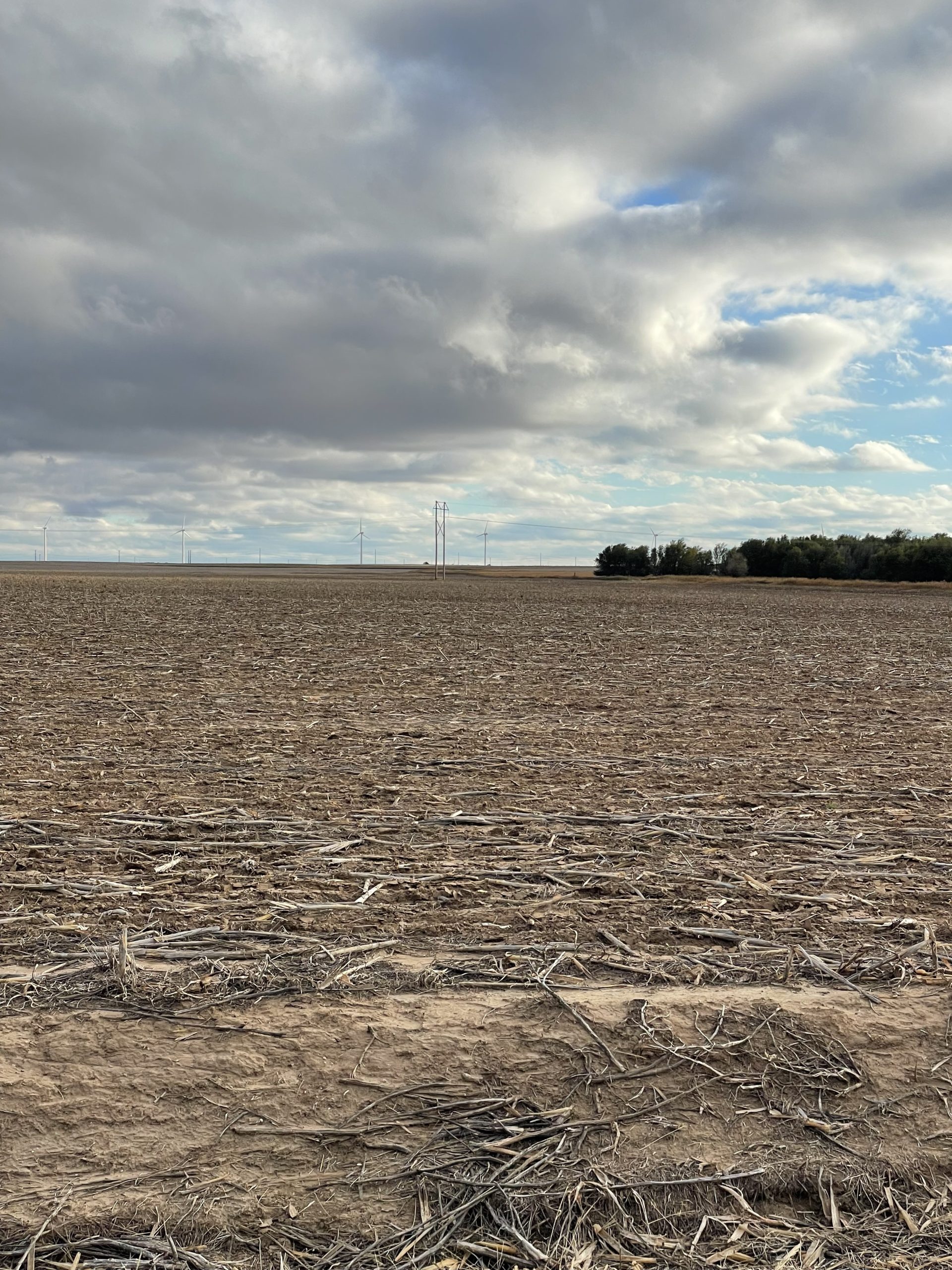 Wheat and more … or less High Plains Journal