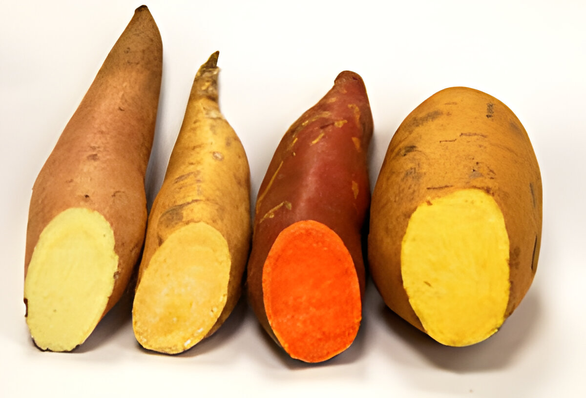 Sweet potatoes or yams? High Plains Journal