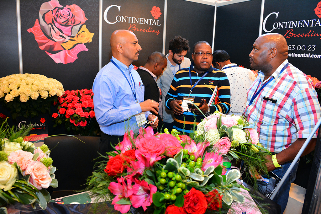 Kenya Flower Farm List Best Flower Site