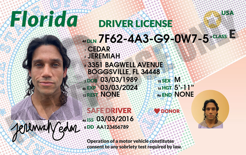 Driver’s License FL Hand Prop Room