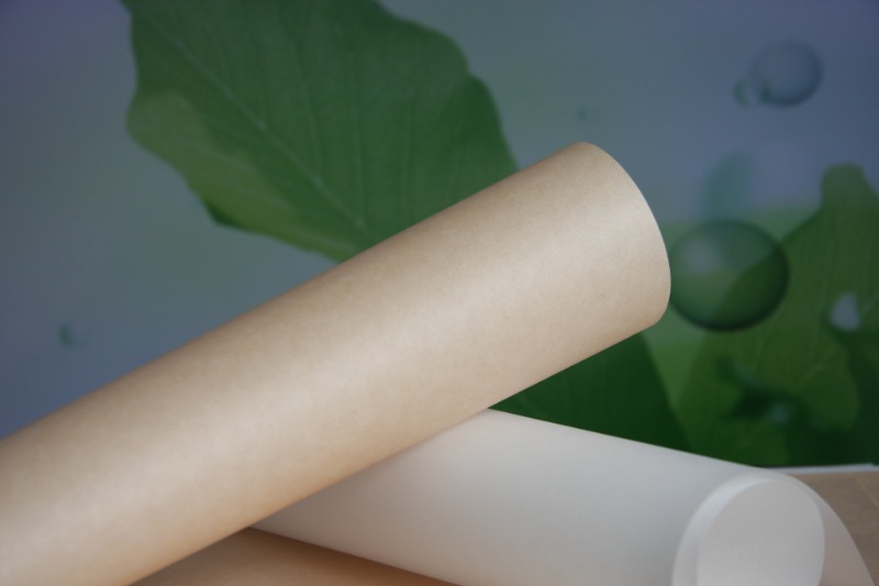 PACKING PAPER, MORE THAN PAPER丨Hydrotech, protect your food, protect