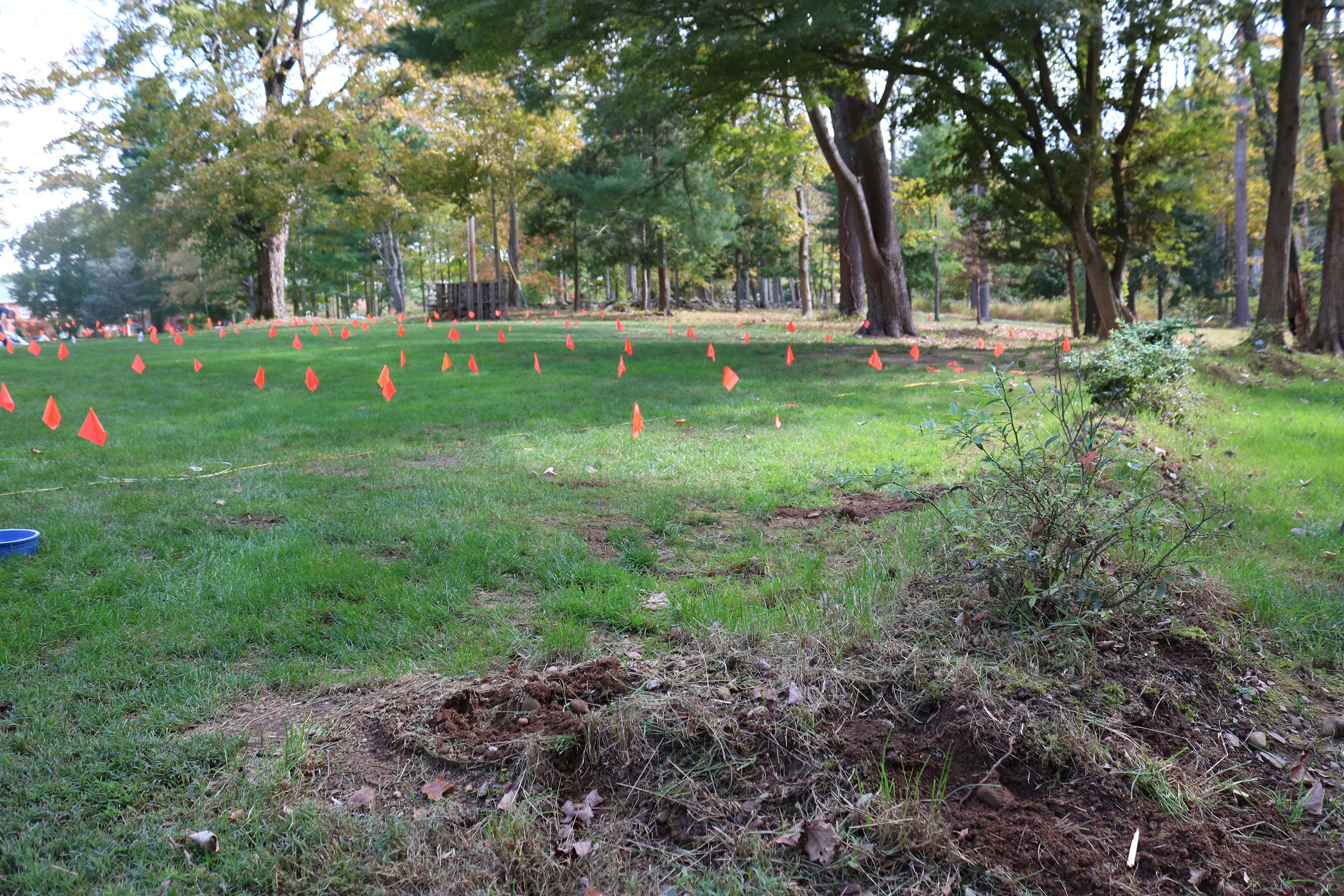 New Quinnipiac community garden is all the buzz