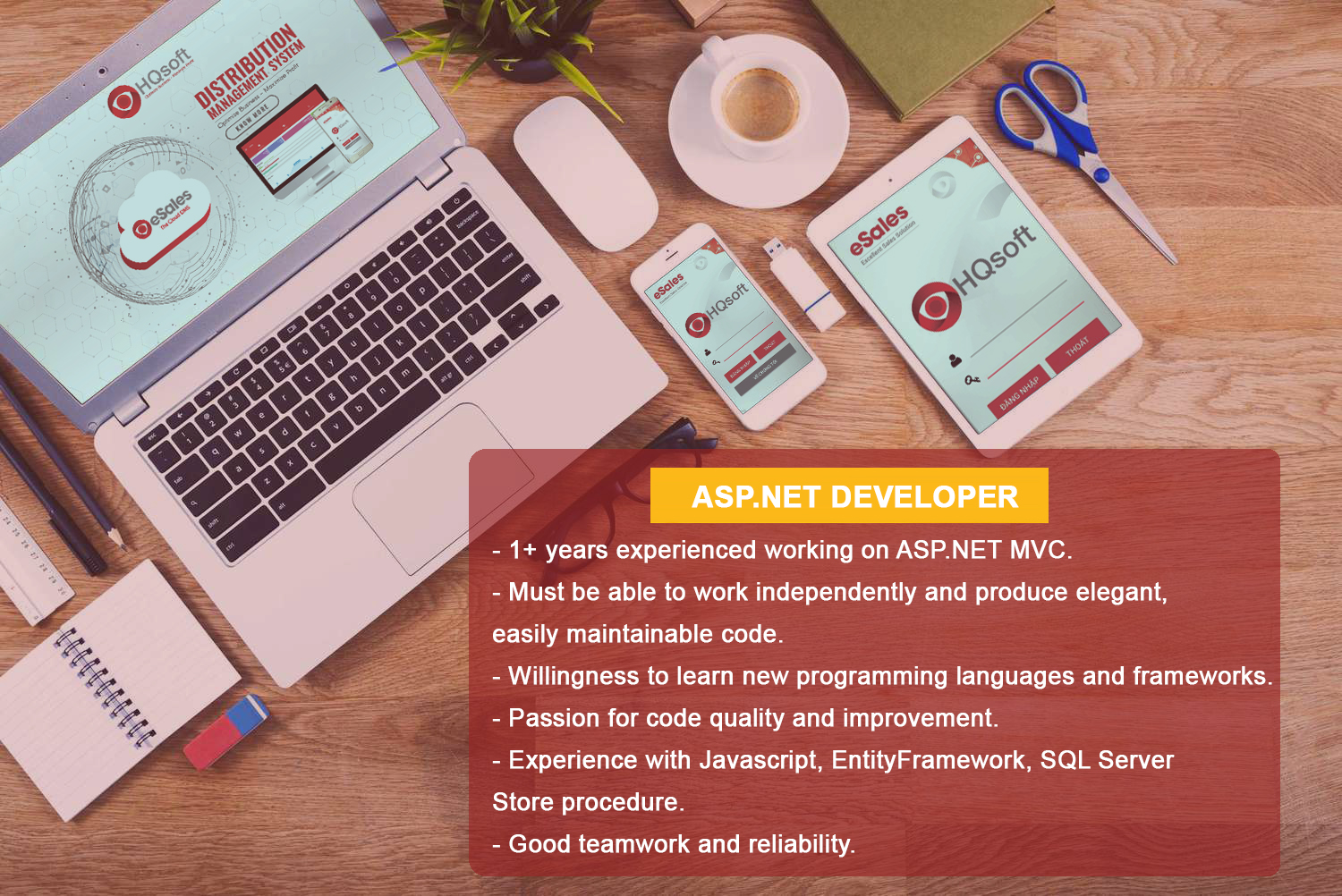 Developer HQSoft
